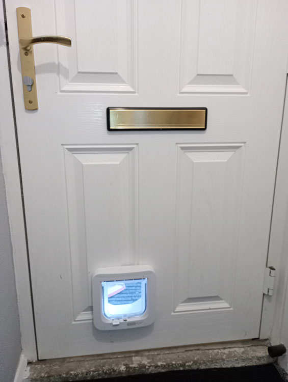 Cat flap installers Gateshead