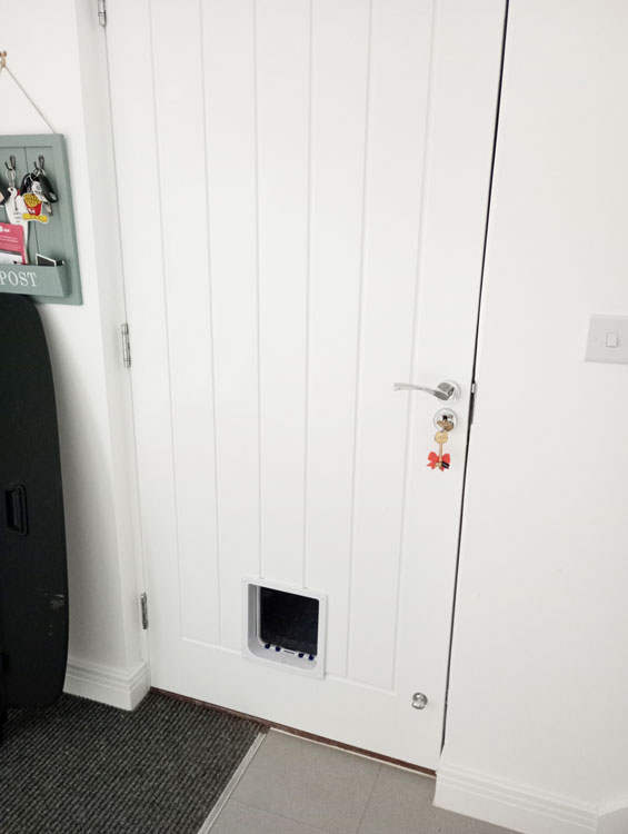 Cat flap installers Newcastle