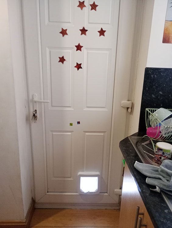 Cat flap installers Newcastle