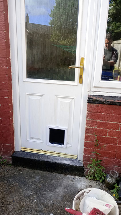 Cat flap installers North Shields