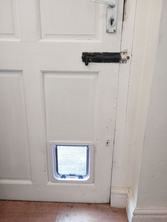 Cat flap kings and doggies 2