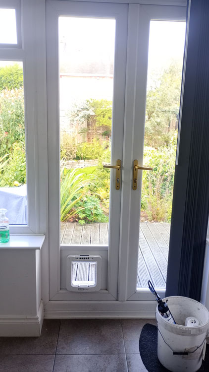 Cat Flap Kings and Doggies 2