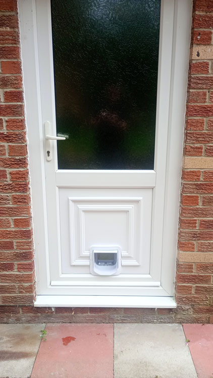 Cat Flap Kings and Doggies 2