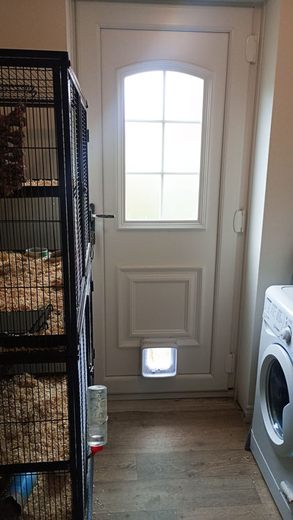 Cat Flap Kings and Doggies 2