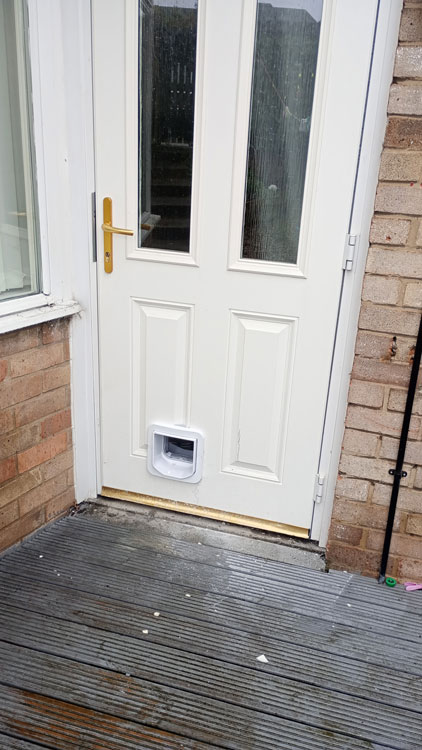 Cat flap kings and doggies 2