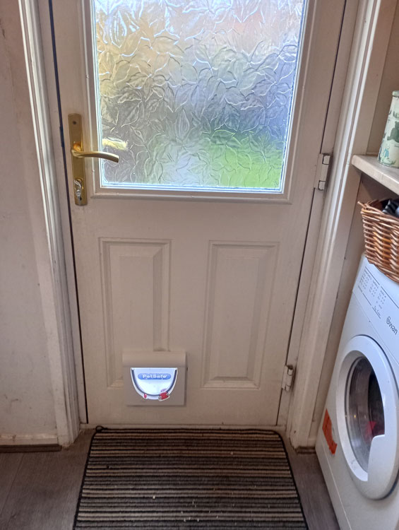 Cat flap kings Annitsford