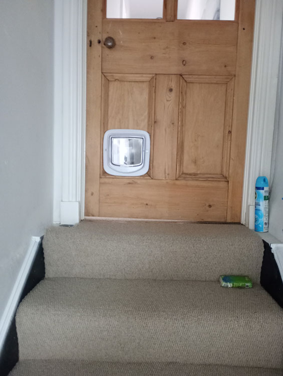 Cat flaps installed in doors East Boldon