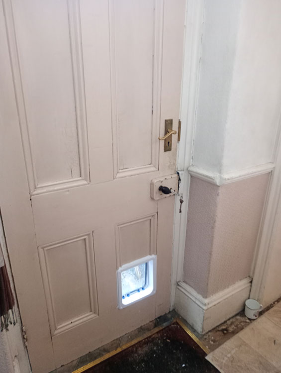 Cat flaps installed in doors Hexham