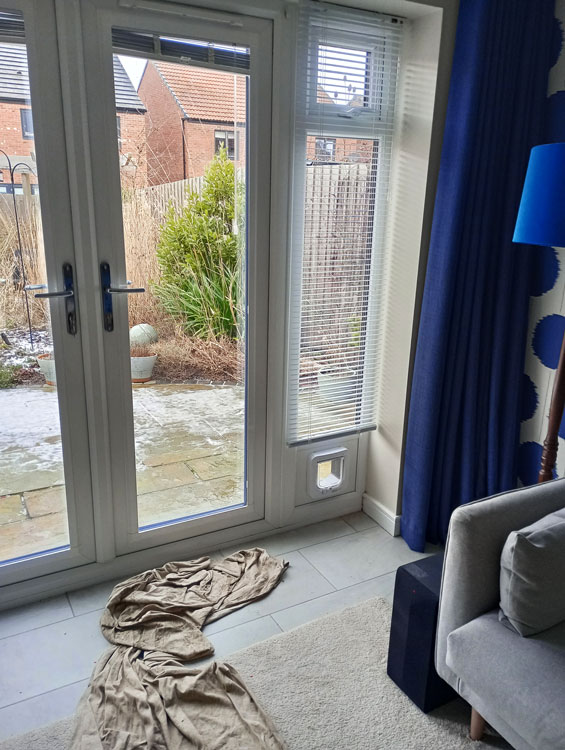 Cat flaps installed in glass Cramlington