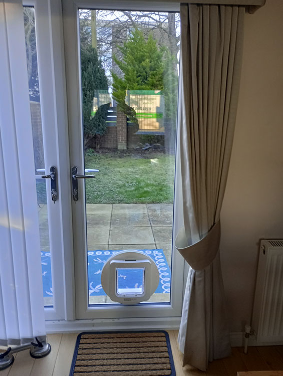 Cat flaps installed in glass Jarrow