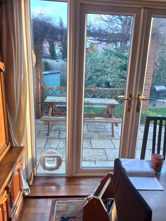 Cat flaps installed in glass North Shields