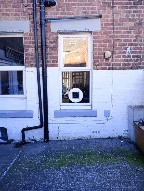 Cat flaps installed in glass Wallsend