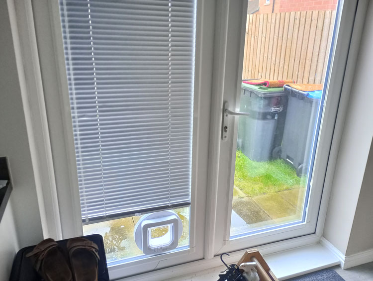 Cat flaps installed in glass