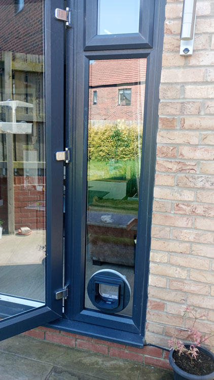 Sureflap cat flap installers