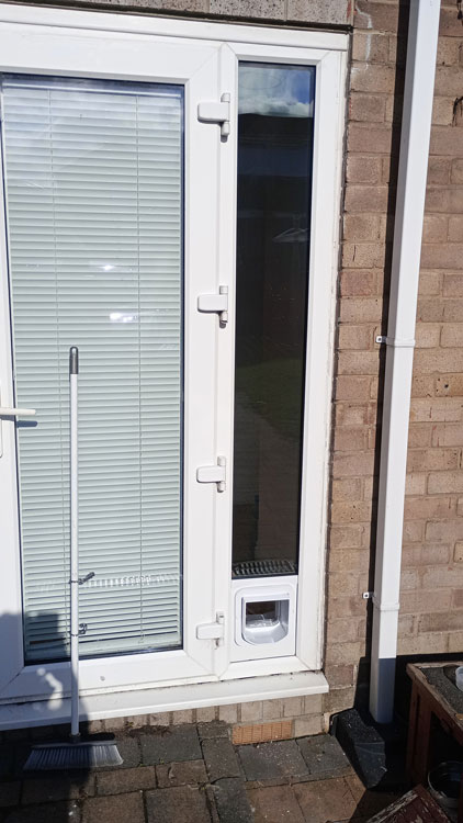 Sureflap cat flap installers