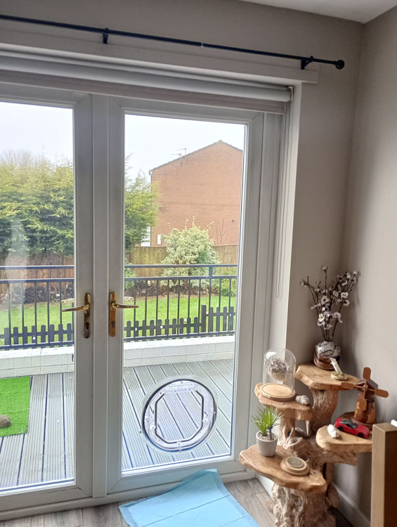 Glass and glazing Dumpling Hall