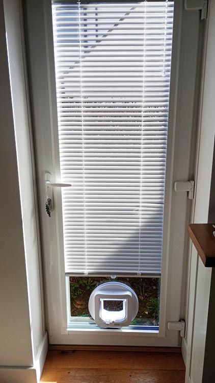 Cat flap kings and doggies 2