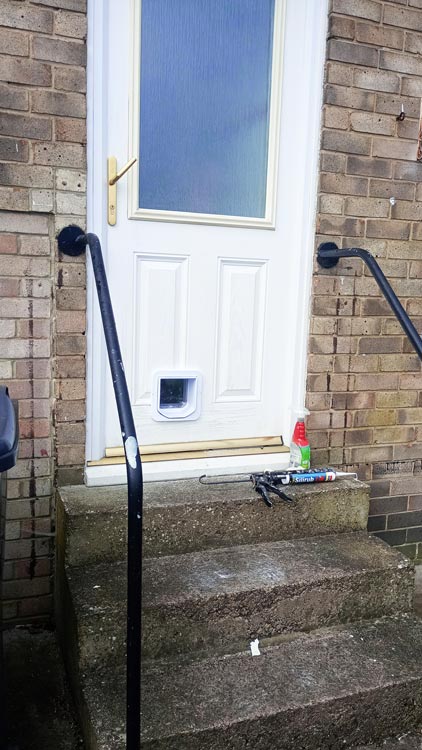 Cat flap kings and doggies 2