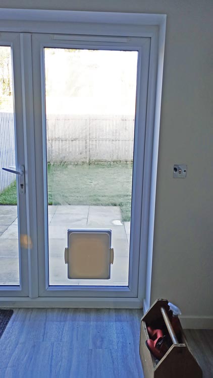 Cat flap kings and doggies 2