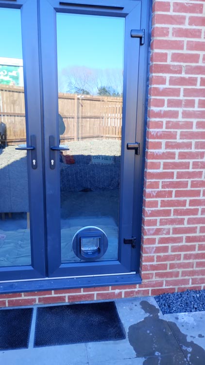 Cat flap kings and doggies 2