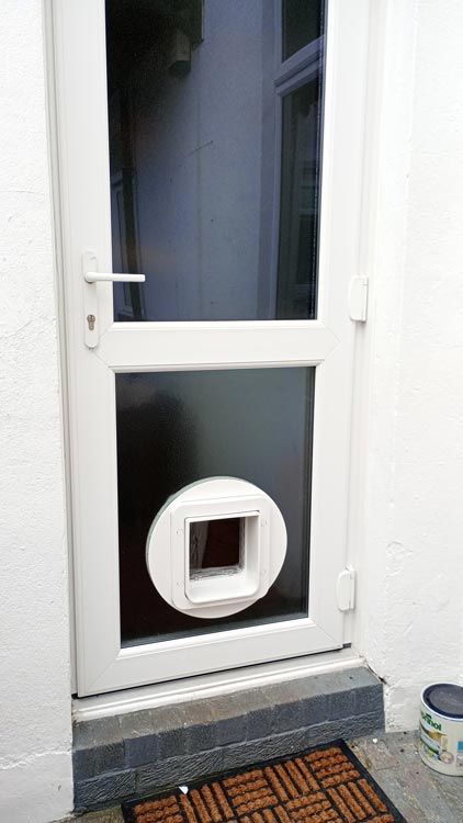 Cat flap kings and doggies 2