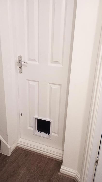 Cat flap kings and doggies 2