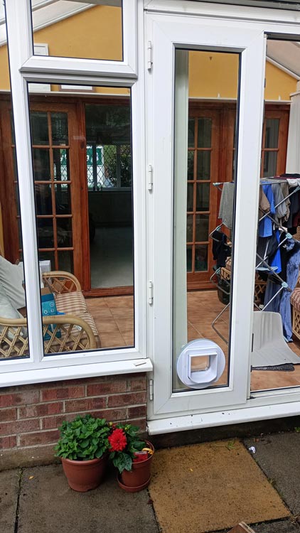 Cat flap kings and doggies 2