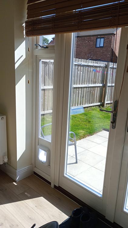 Cat flap kings and doggies 2