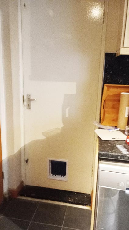 Cat flap kings and doggies 2