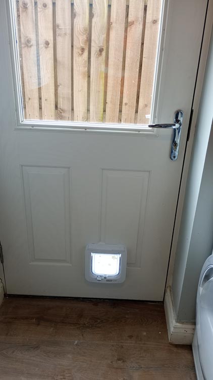 Cat flap kings and doggies 2