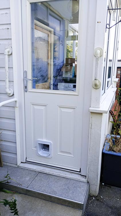 Cat flap kings and doggies 2