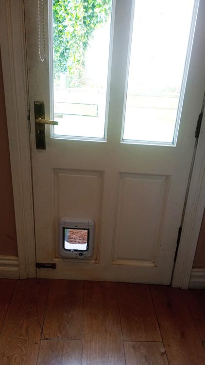 Cat flap kings and doggies 2