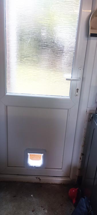 Cat flap kings and doggies 2