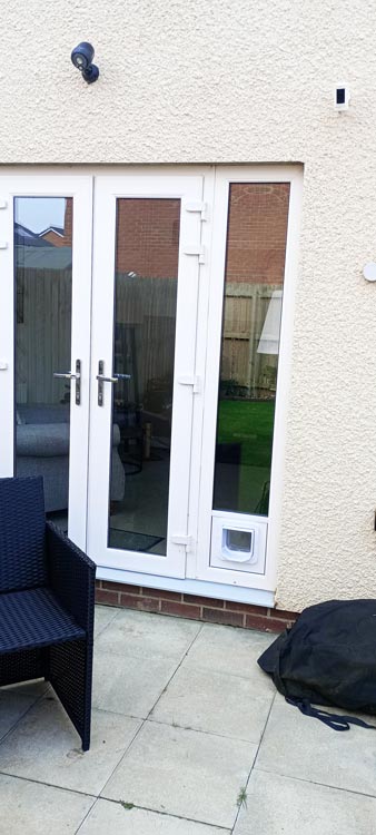 Cat flap kings and doggies 2