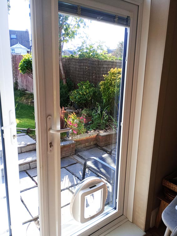 Cat flap kings and doggies 2