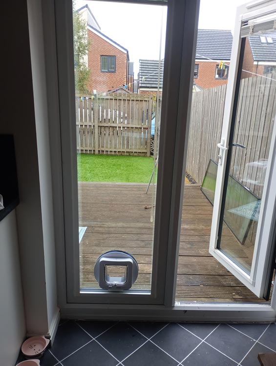 Cat flap kings and doggies 2