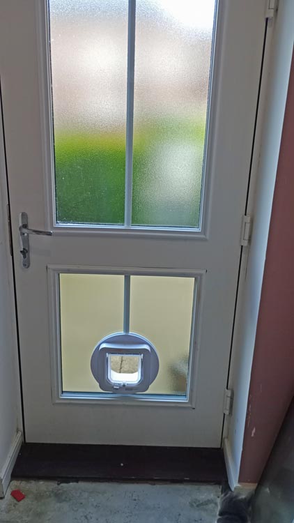 Cat flap kings and doggies 2