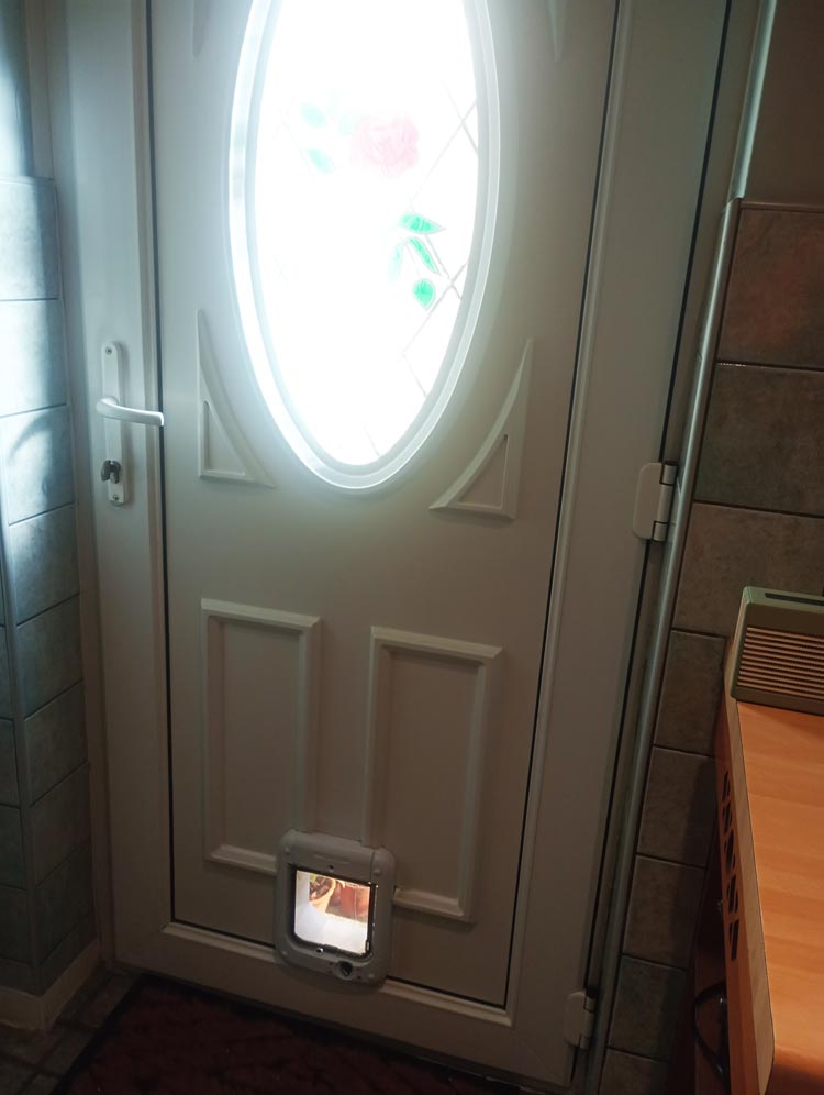 Cat flap kings and doggies 2