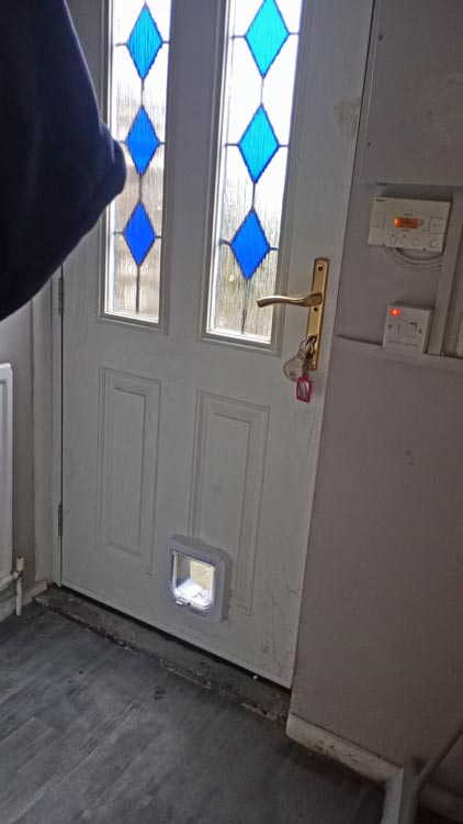 Cat flap kings and doggies 2