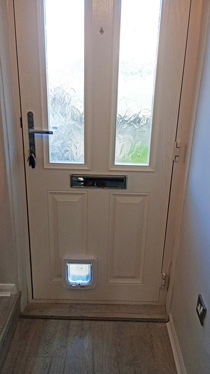 Cat flap kings and doggies 2