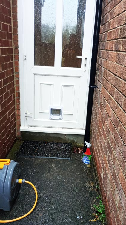 Cat flap kings and doggies 2