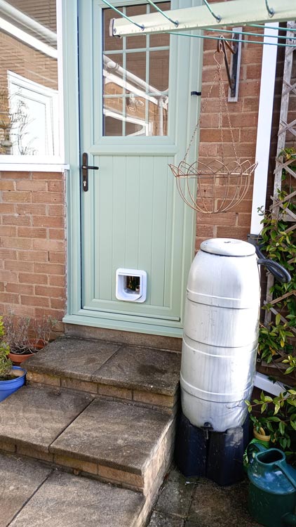 Cat flap kings and doggies 2