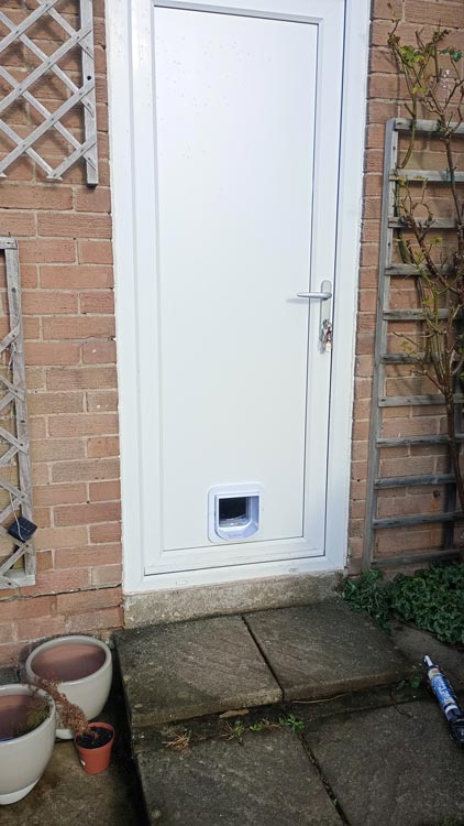 Cat flap kings and doggies 2