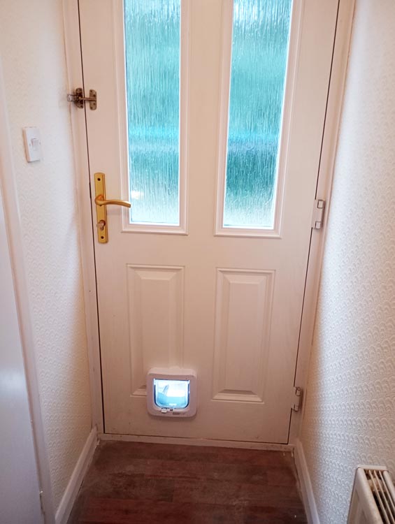 Cat flap prices near me