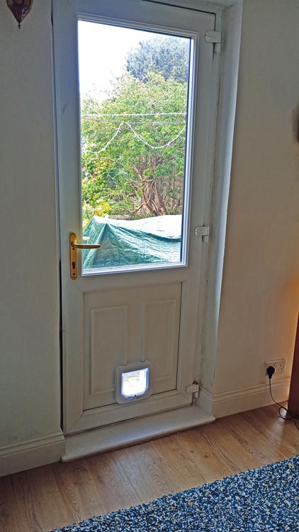 Cat flap prices near me