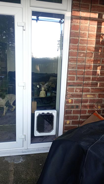 Dog flap installer North Shields