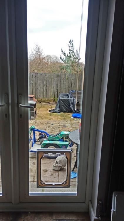 Dog flap installers Gateshead