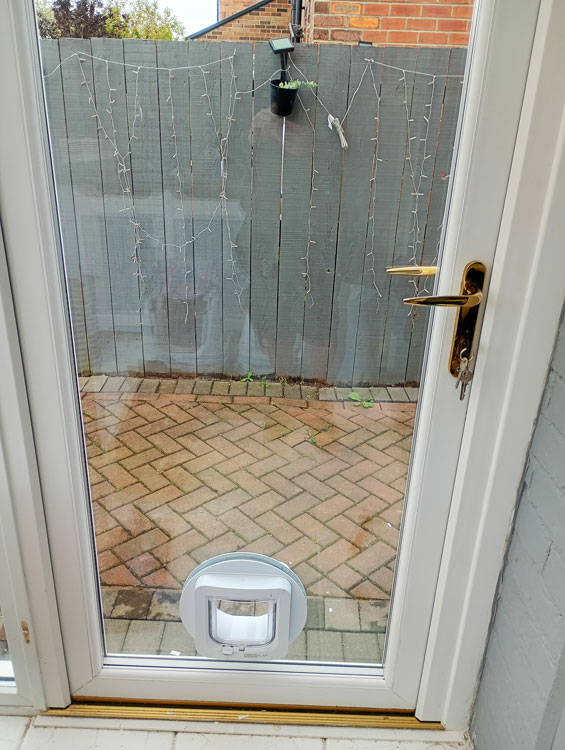 Cat flap installers Durham