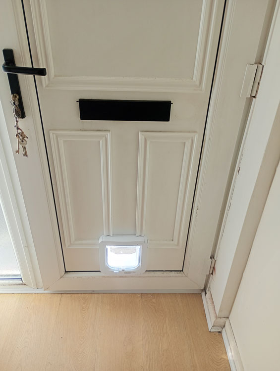 Cat flap installers near me