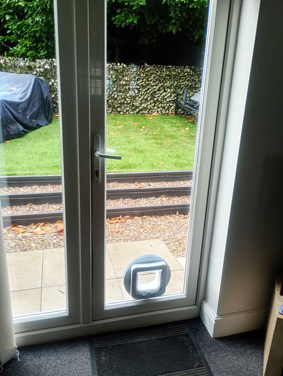 Cat flap installers near me